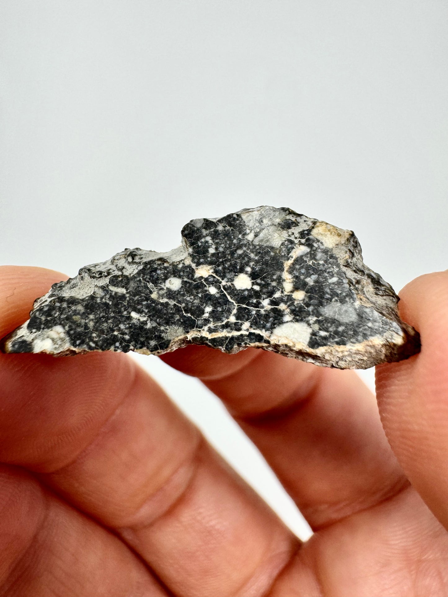 NWA 14685 Lunar Fragmental Breccia - A Piece Of Our Moon! 1.6g