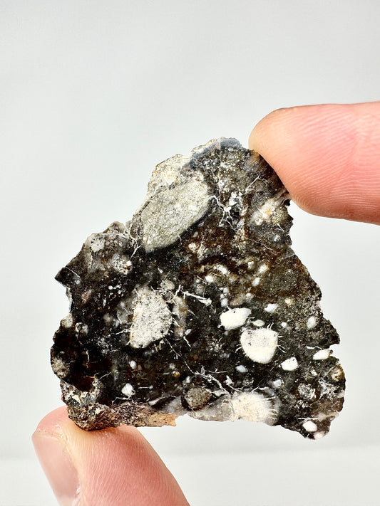 NWA 17270 Lunar Meteorite - END CUT - Colorful Meteorite From Our Moon! 11.9g