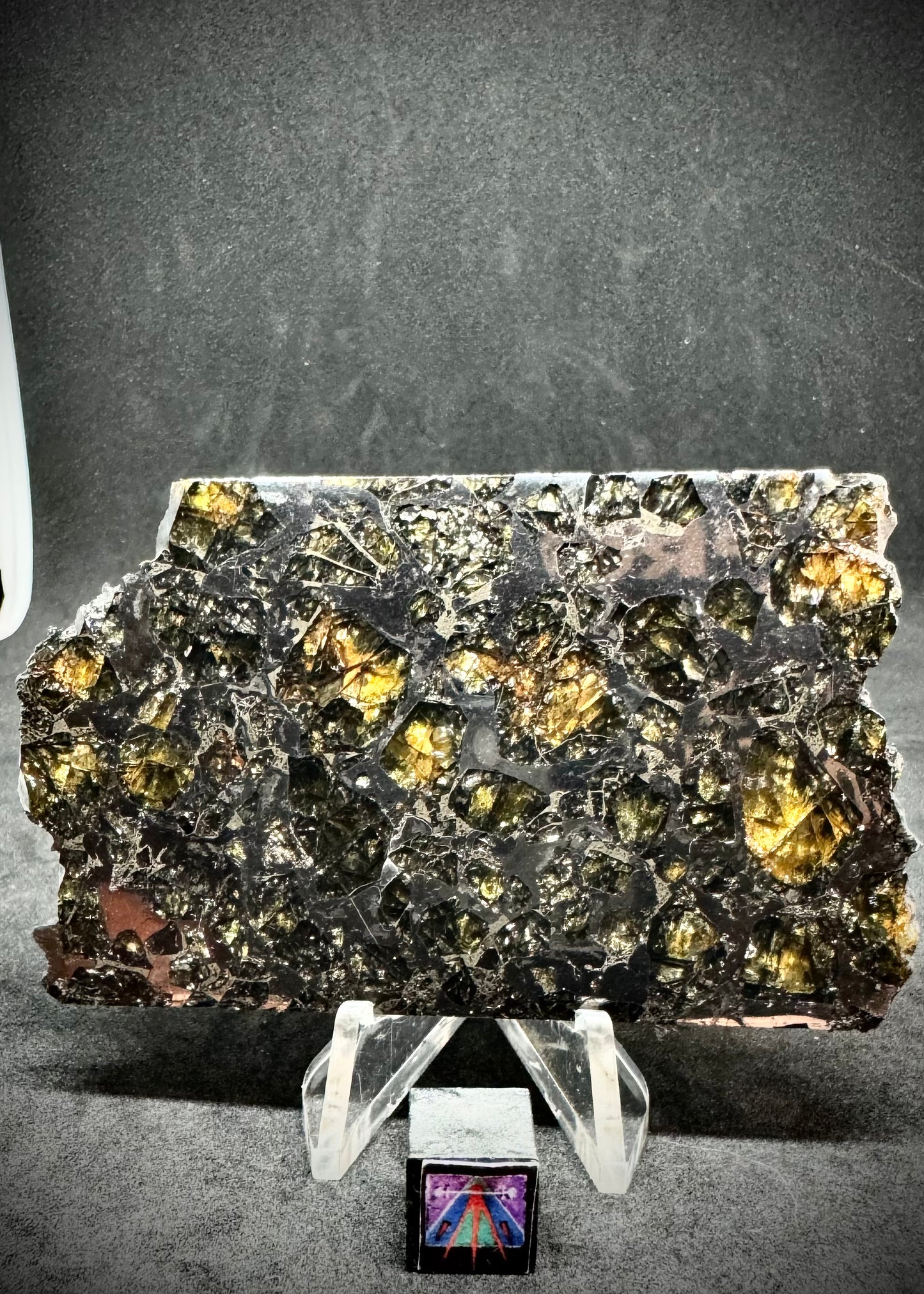 Brahin Pallasite Meteorite - 51.5g