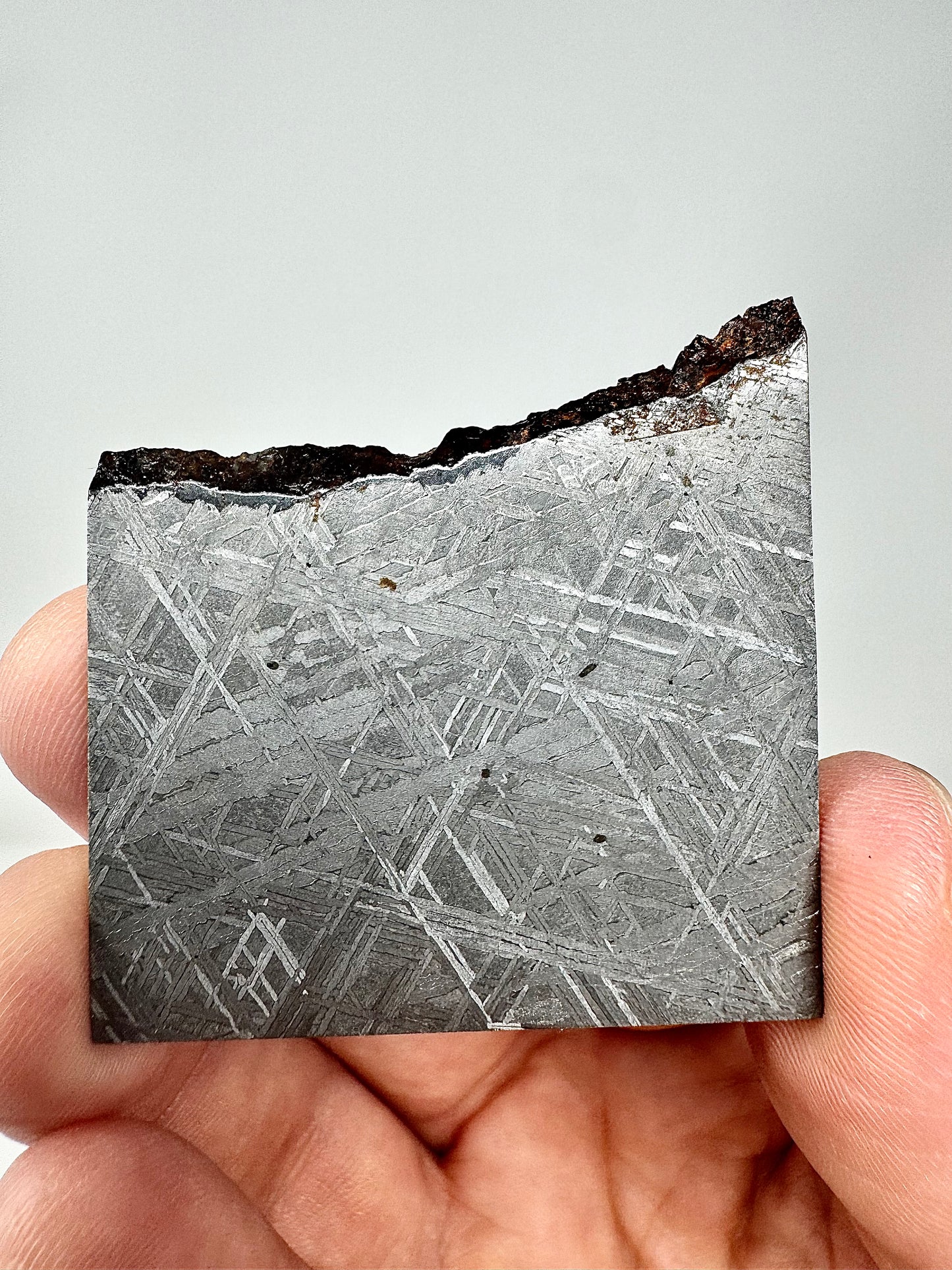 Muonionalusta Iron Meteorite - Part Slice - From The Core Of An Asteroid!