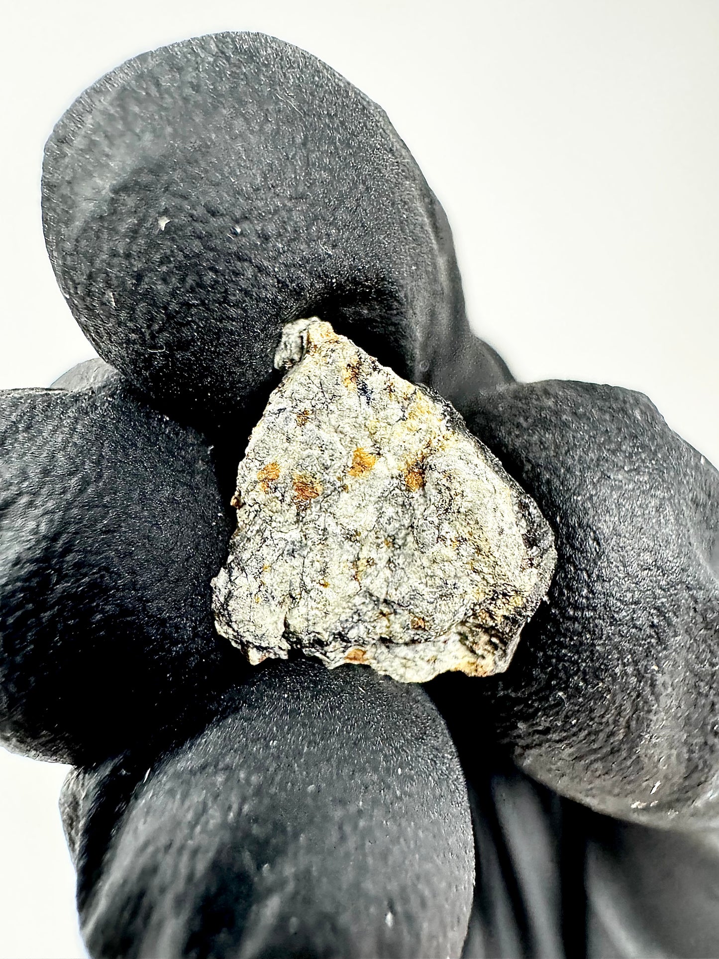 1.2g Chelyabinsk Brecciated Meteorite - Jet Black Crust - Incredibly Fresh and Discovered Immediately After the Fall!