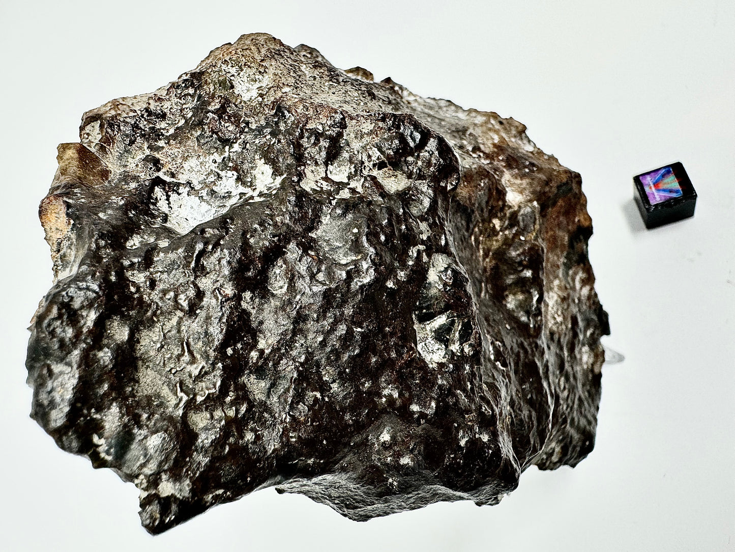 363.4g NWA 14518 Mesosiderite End Cut Meteorite - Huge Pyroxene Crystals!