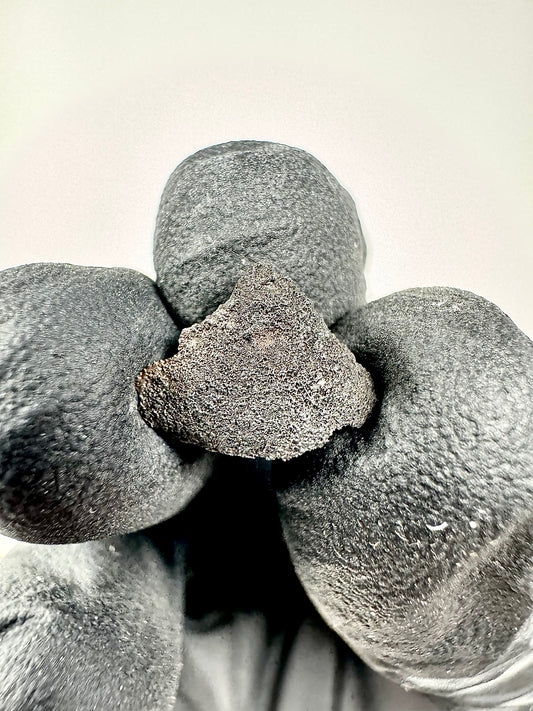 0.4g Chelyabinsk Brecciated Meteorite - Jet Black Crust - Incredibly Fresh and Discovered Immediately After the Fall!