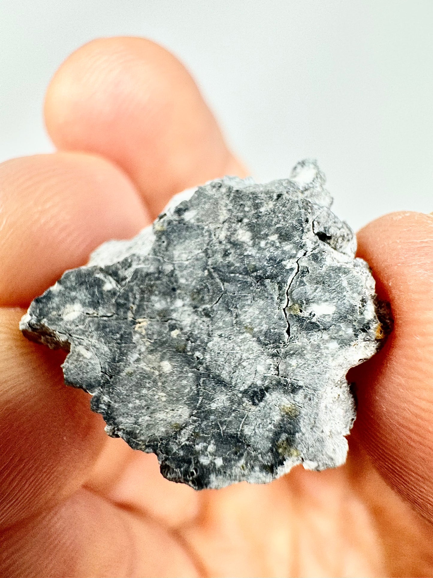 Gadamis 003 Lunar Meteorite - Ferroan Anorthosite, Cataclastic - “The Apollo Lunar” - 2.5g