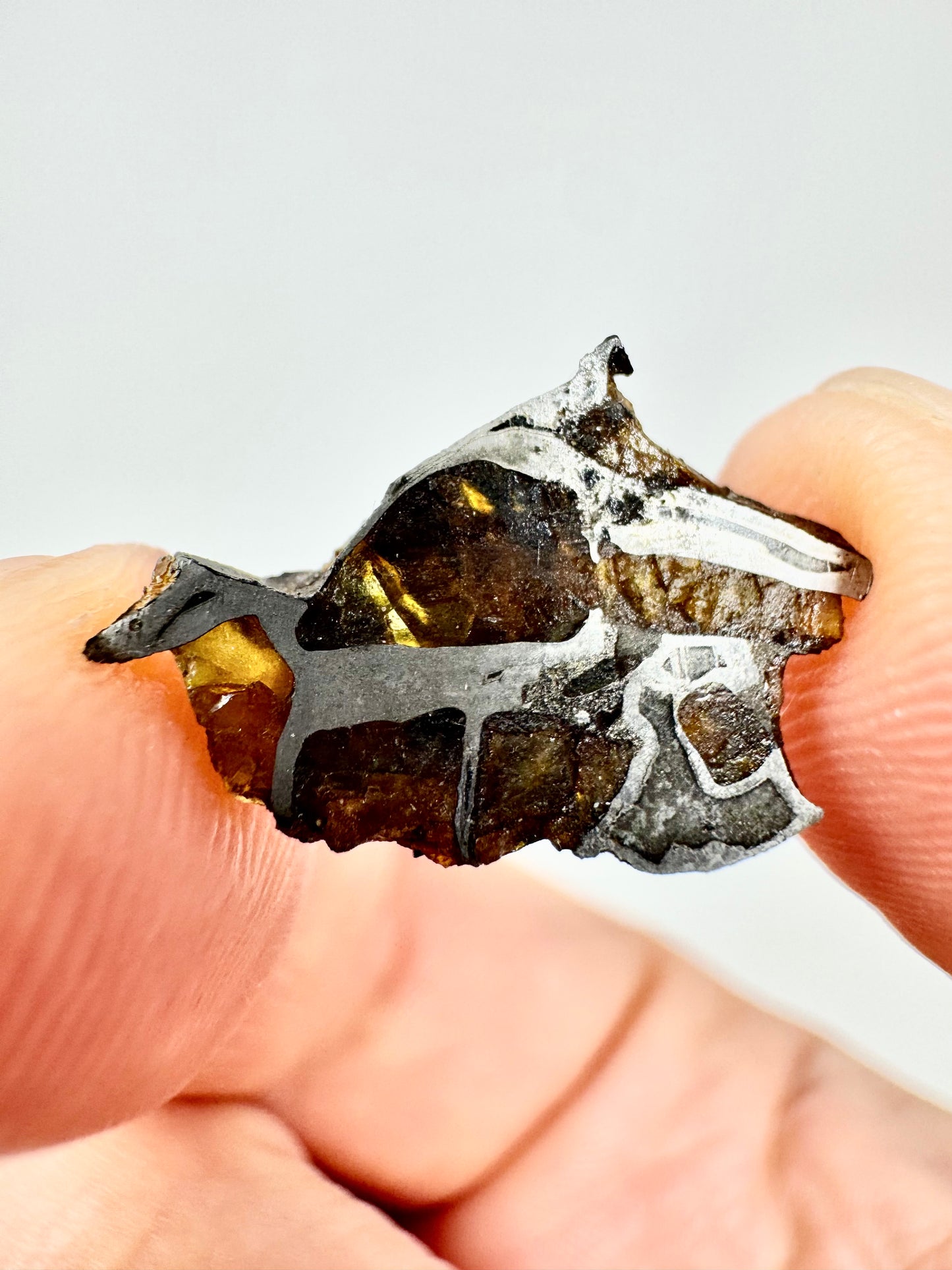 Brahin Pallasite Meteorite - 1.5g - From The Mantle/Core Of An Asteroid - Grade A Translucency