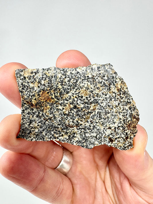 NWA 16312 Eucrite Meteorite - 12.8g - From An Asteroid - Part Of The HED Group