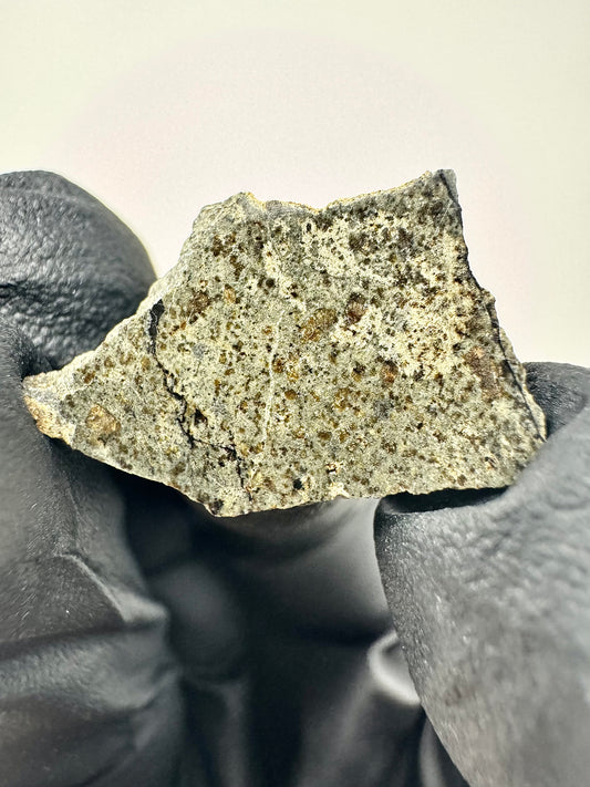 1.9g Genuine Martian Meteorite Amgala 001 With Beautiful Shock Veins! Scientifically Studied Rock From Planet Mars