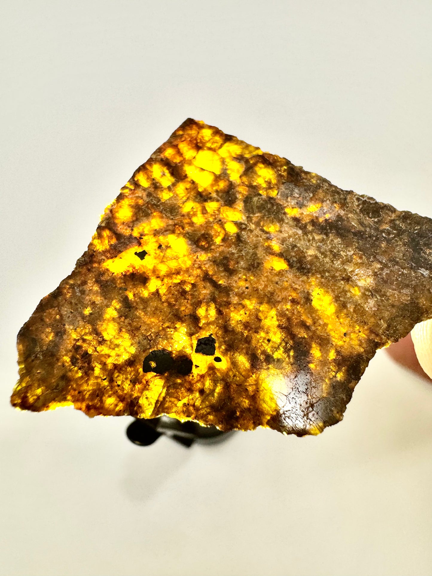 4.2g NWA 16317 Translucent Diogenite Meteorite - Parent Body: Asteroid Vesta