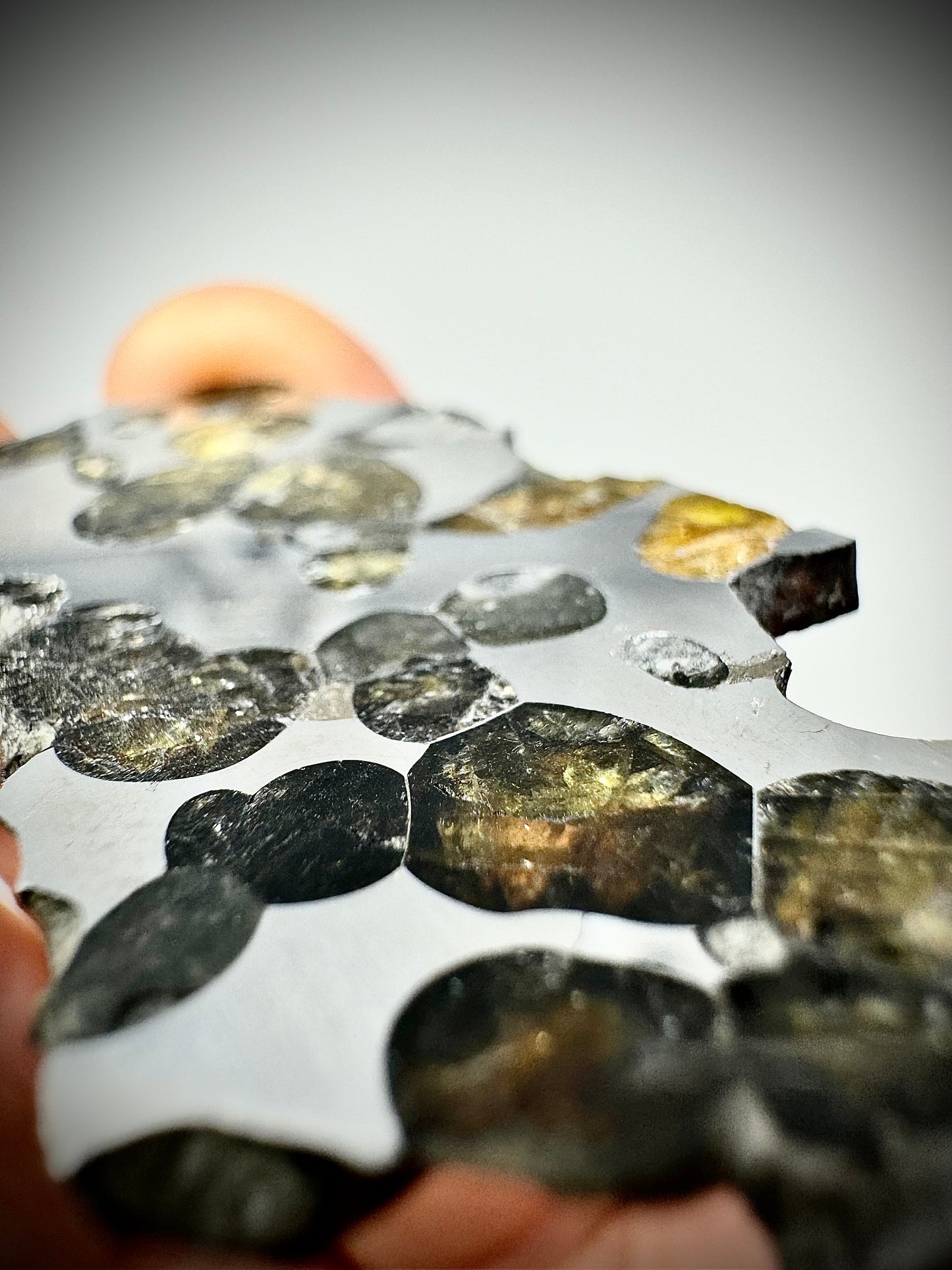 Springwater Pallasite - 13g Full Slice - Exquisite Translucency and Polish