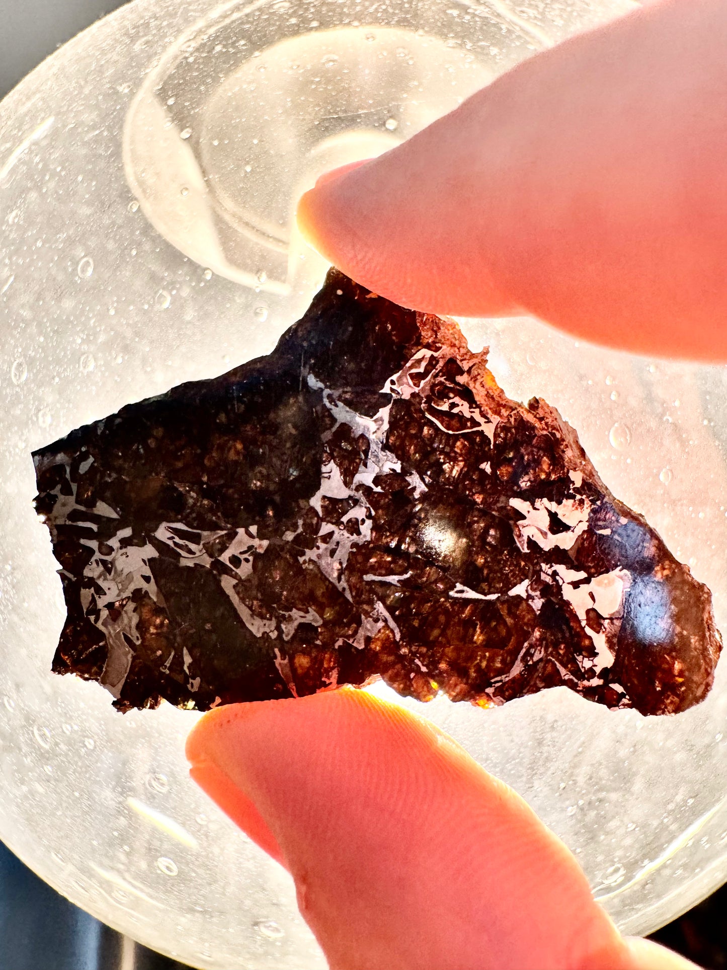 Brahin Pallasite Meteorite - 20.4g - From The Mantle/Core Of An Asteroid