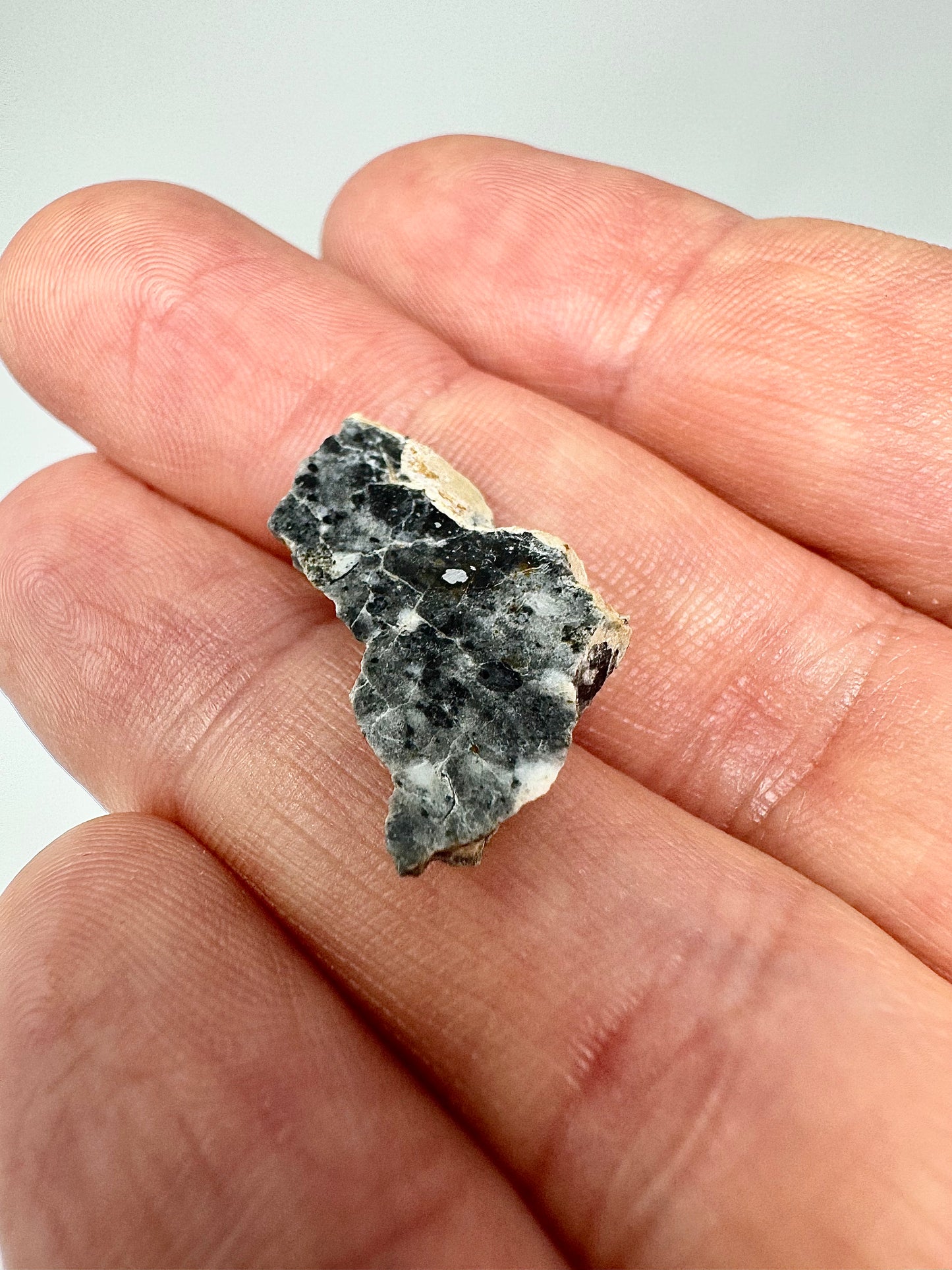 1.2g Bechar 003 Lunar Feldspathic Breccia w/ big metal inclusion from impact in space! Polished