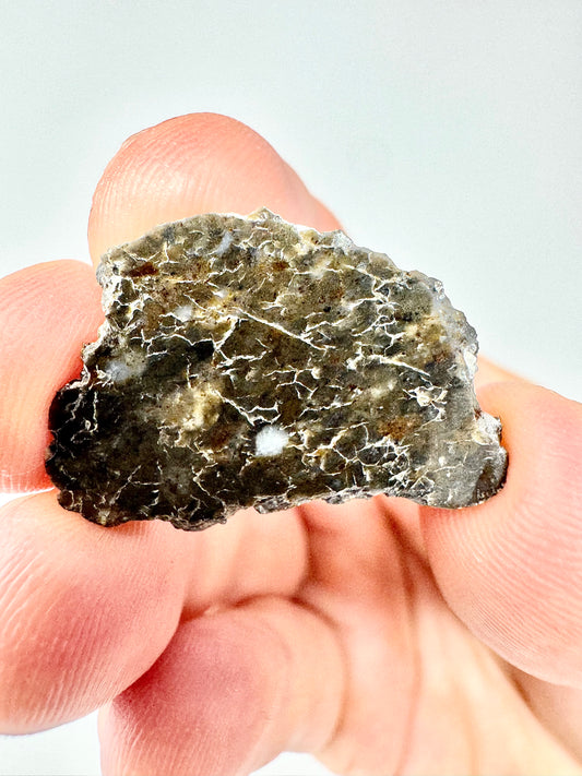 Laâyoune 002 Lunar Meteorite - Beautiful Polish - 3.5g