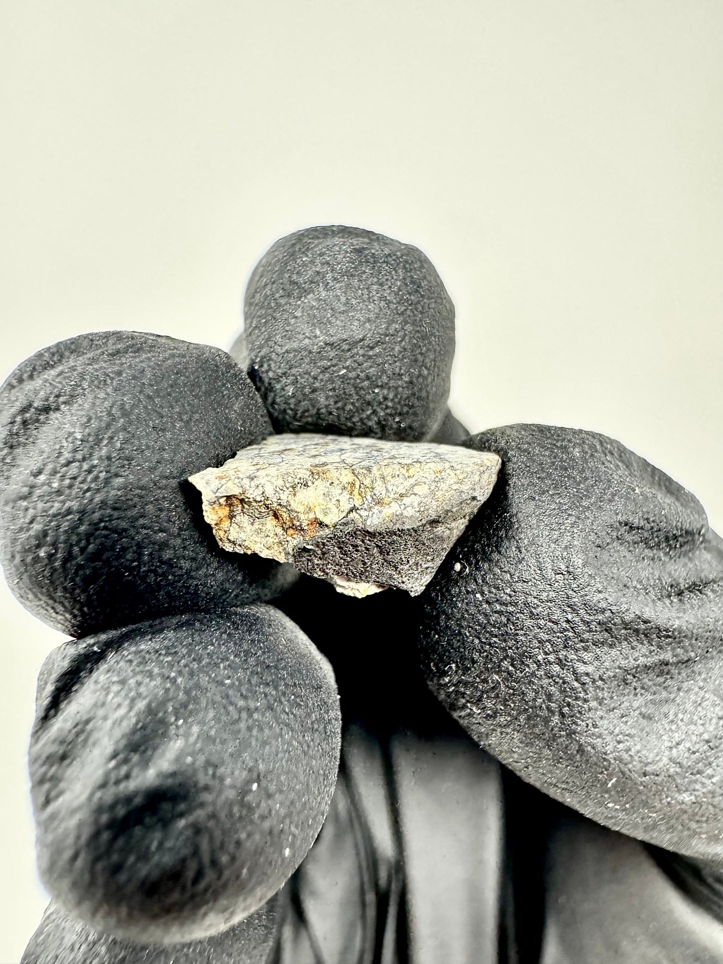 1.2g Chelyabinsk Brecciated Meteorite - Jet Black Crust - Incredibly Fresh and Discovered Immediately After the Fall!