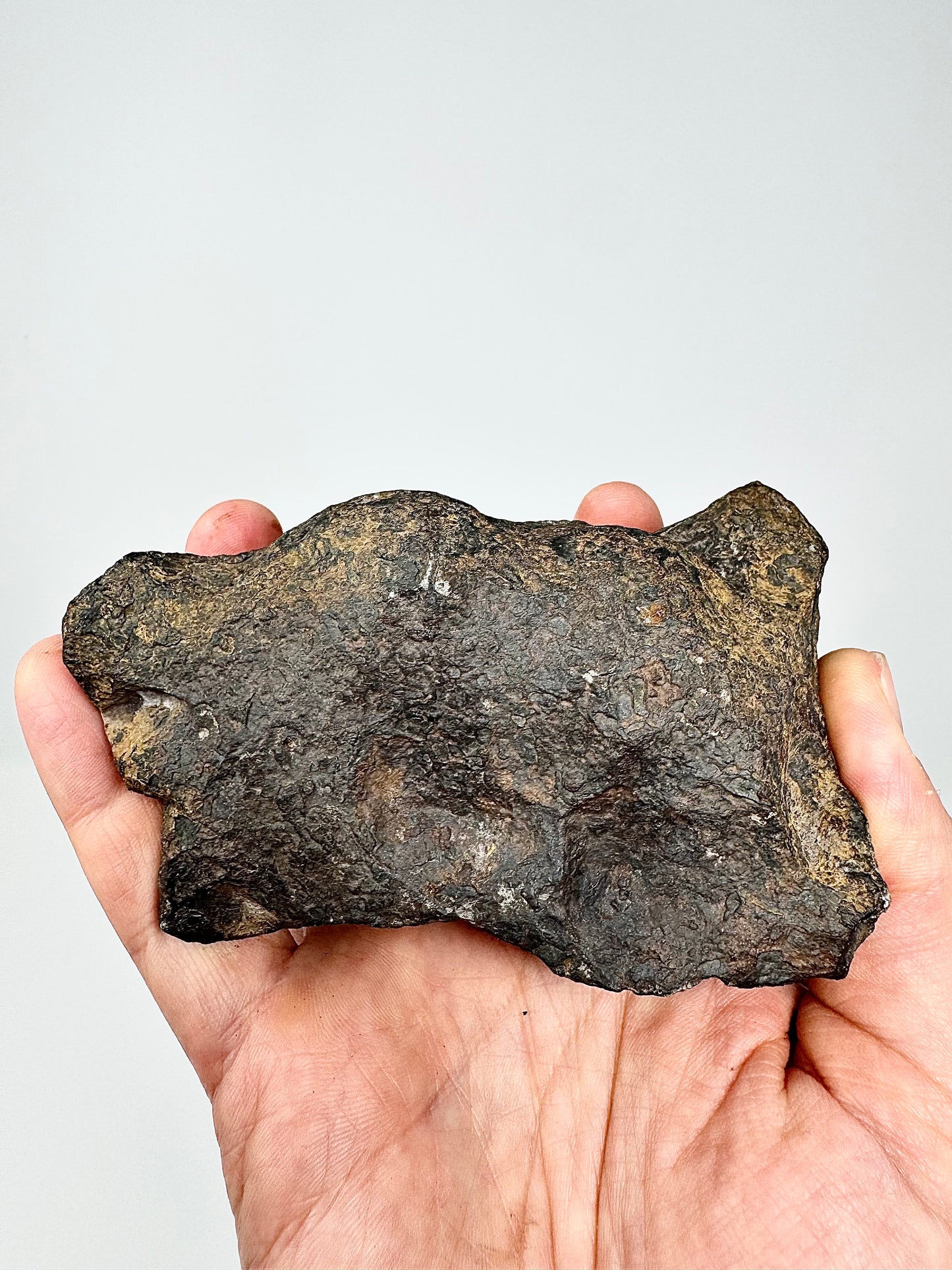 1,171g Campo Del Cielo Iron Meteorite - Beautiful Features and a HUGE regmyglypt!