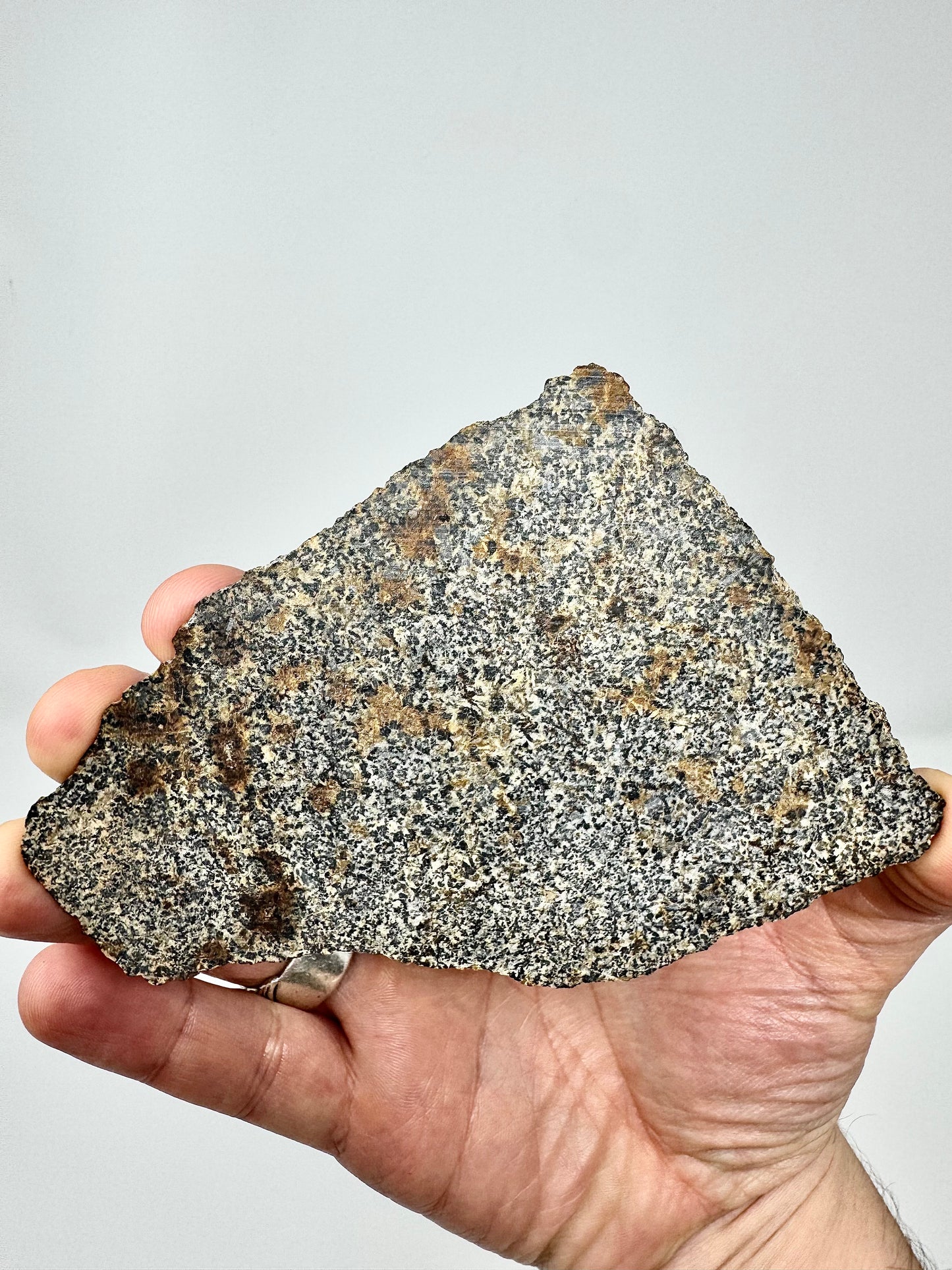 NWA 16312 Eucrite Meteorite FULL SLICE - 48.1g - From An Asteroid - Part Of The HED Group