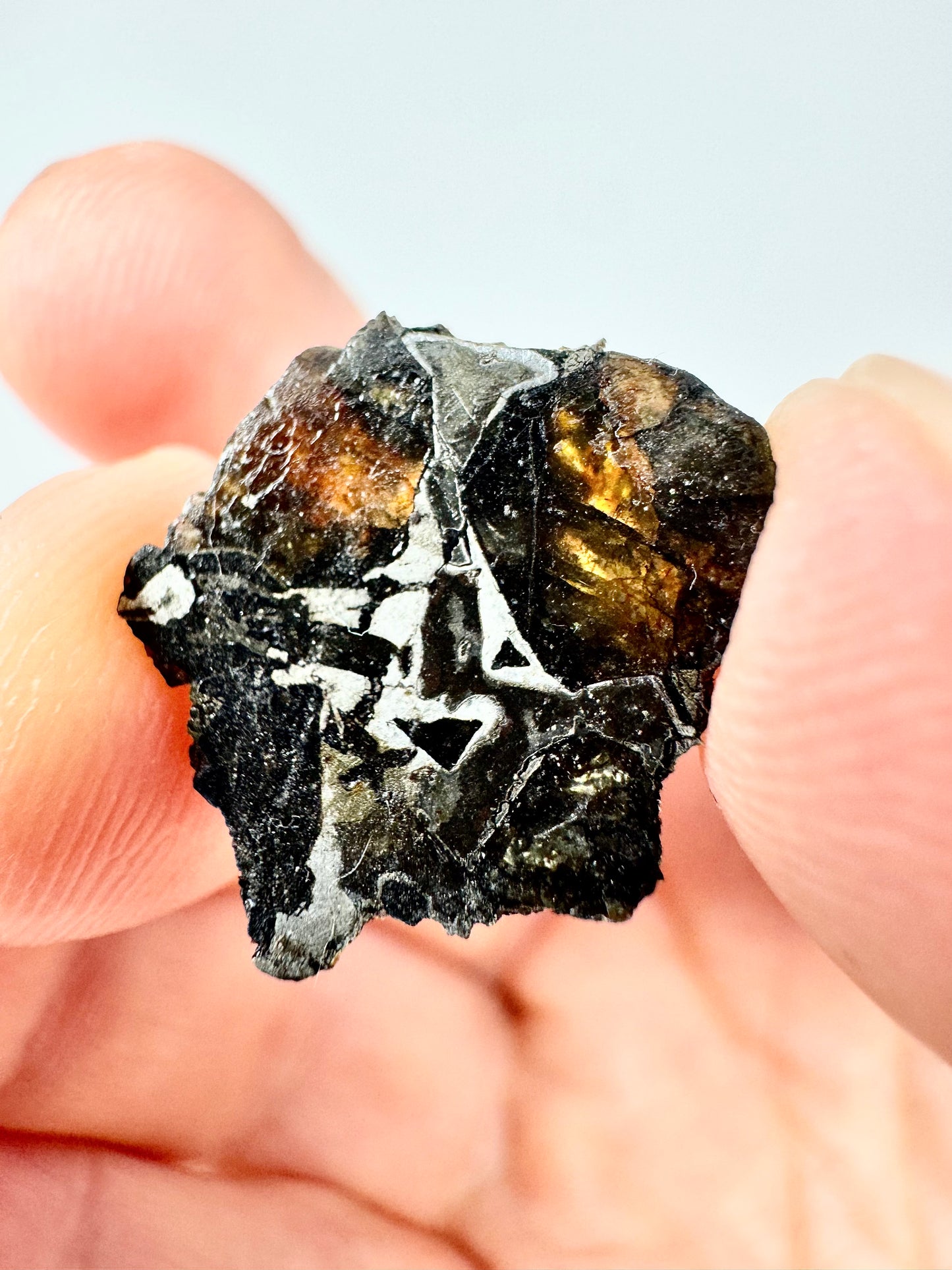 Brahin Pallasite Meteorite - 1.9g - From The Mantle/Core Of An Asteroid - Grade A Translucency