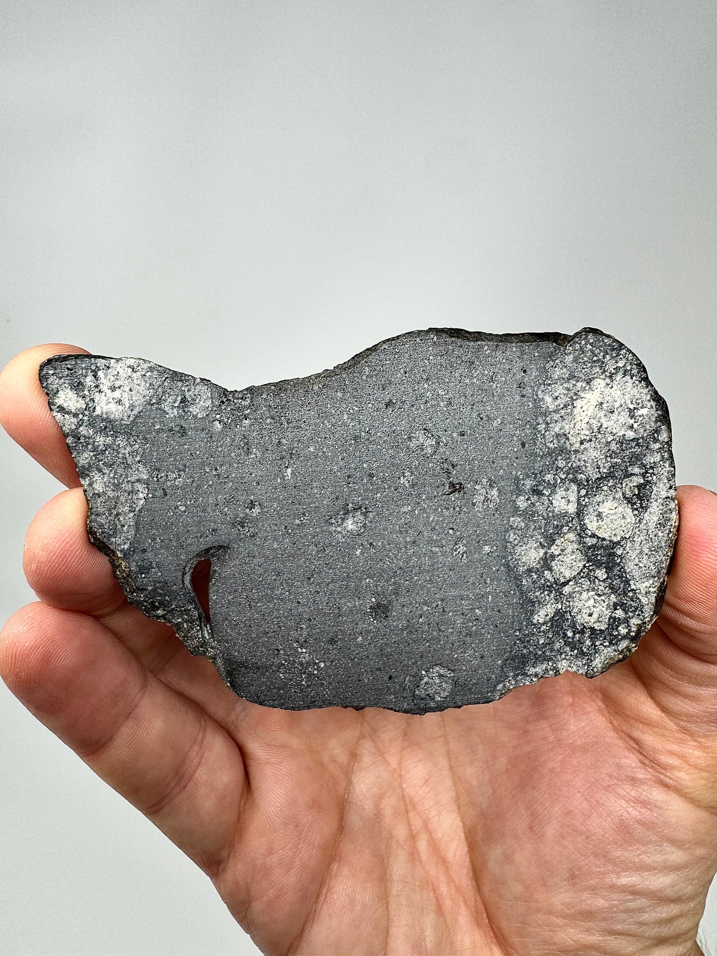 NWA 15923 Eucrite Melt Breccia Meteorite - Distinct Melt Boundary w/ Vesicles! From An Asteroid - 26.8g