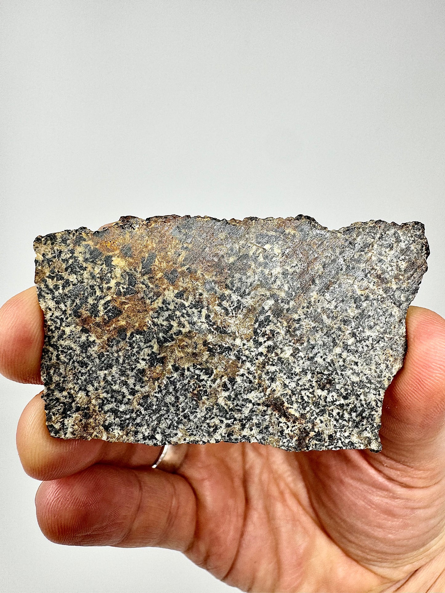 NWA 16312 Eucrite Meteorite - 15.1g - From An Asteroid - Part Of The HED Group
