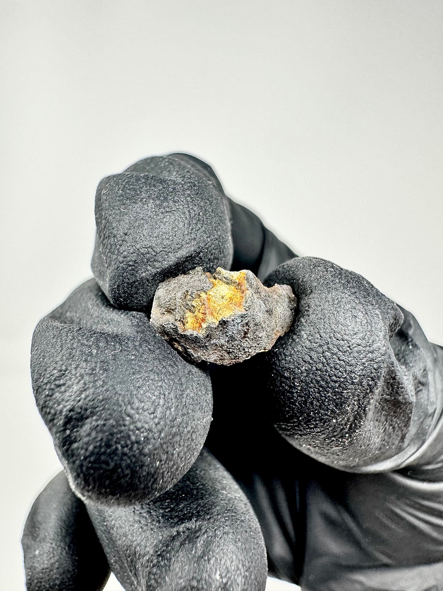 0.8g Chelyabinsk Brecciated Meteorite - Jet Black Crust - Incredibly Fresh and Discovered Immediately After the Fall!
