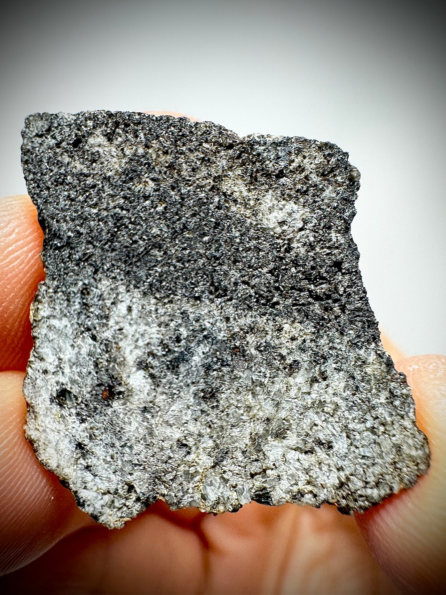 Ksar Ghilane 022 Ungrouped Achondrite - 3.7g Full Slice With A Perfect 50/50 Black and White Split - A Meteorite That’s About To Make History!