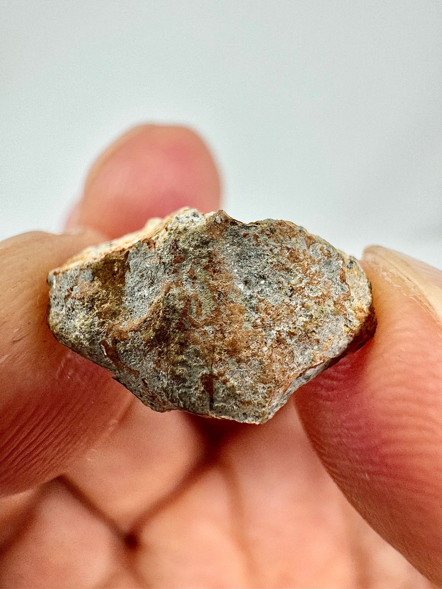 0.7g Bechar 003 Lunar Feldspathic Breccia - End Cut