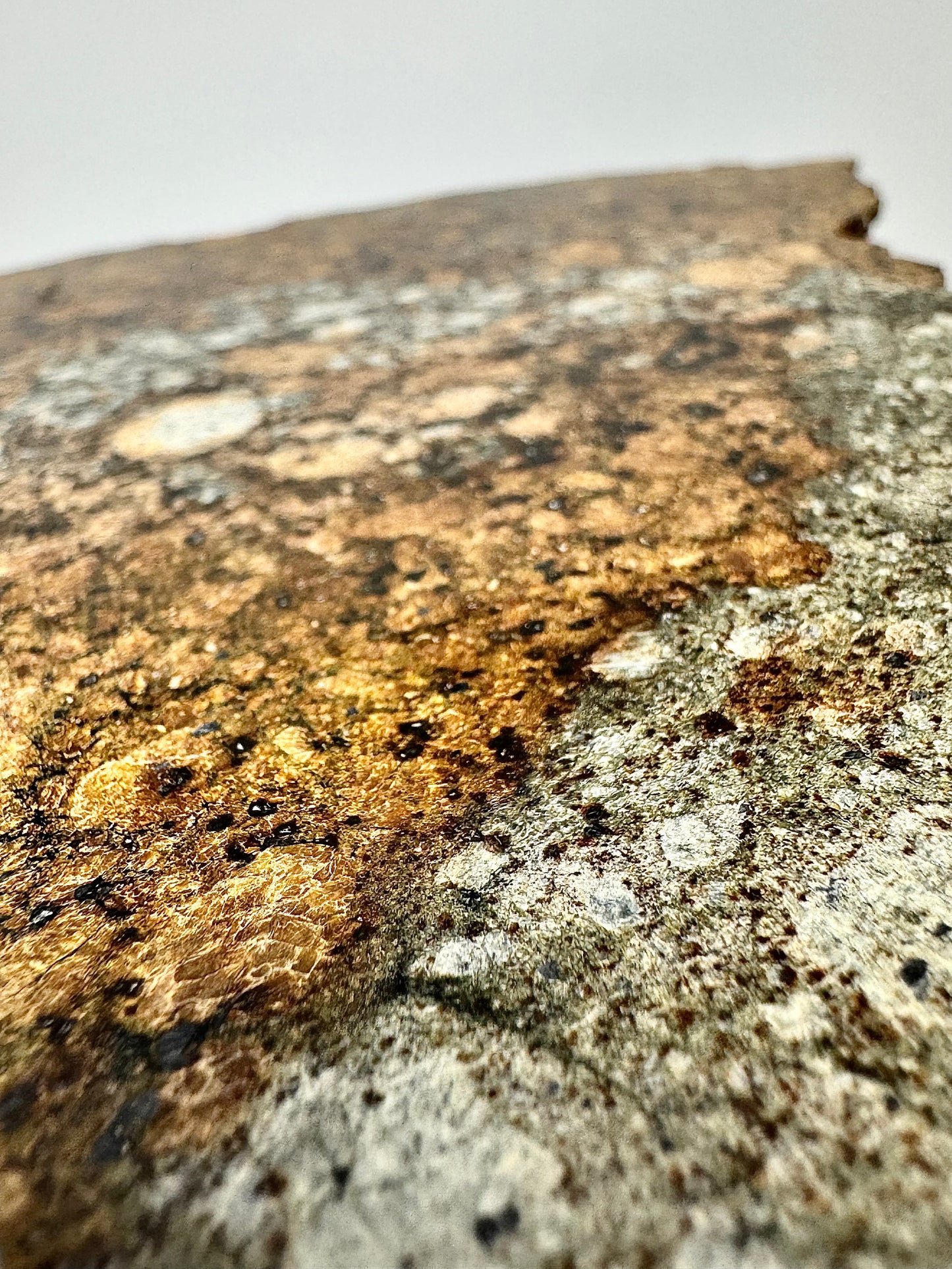 Full Slice of NWA 15953 Diogenite Meteorite -186.2g - Dual Lithology - From An Asteroid!