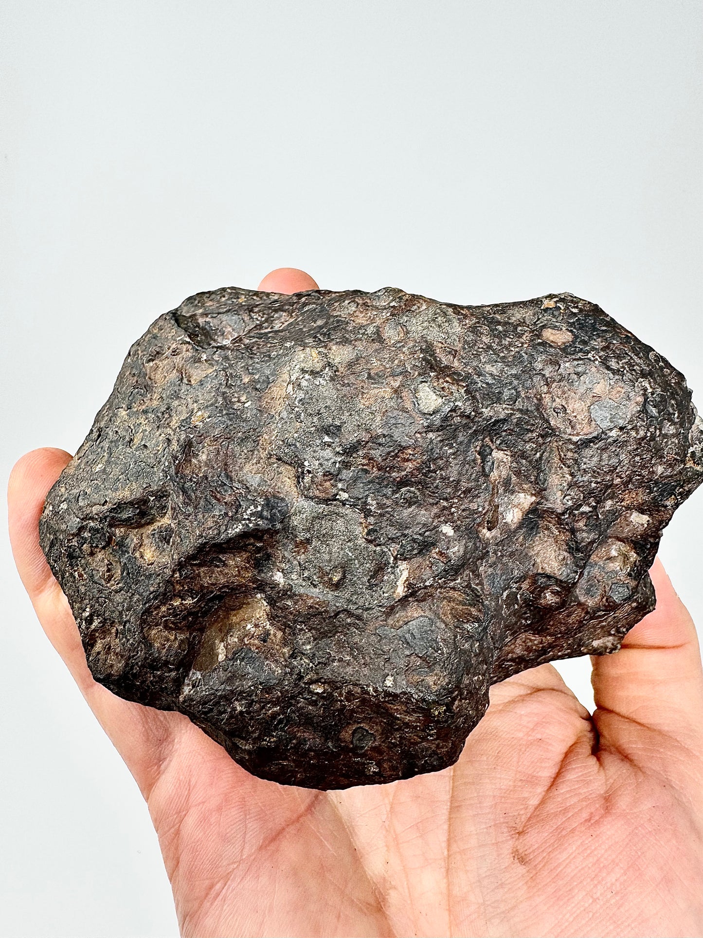 2,018g Campo Del Cielo Iron Meteorite - Lots of regmyglypts!