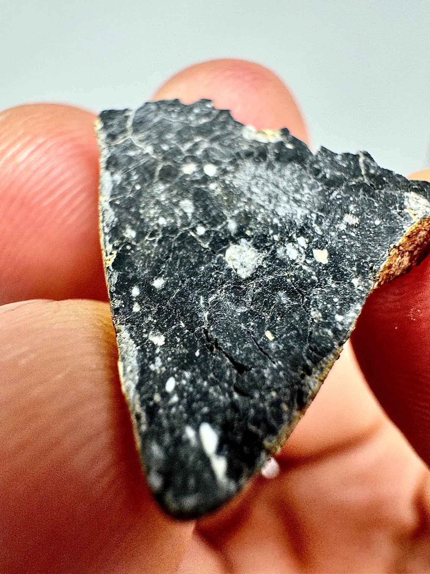 Mesmerizing NWA 13951 “Starry Night” Lunar Meteorite - 1.5g