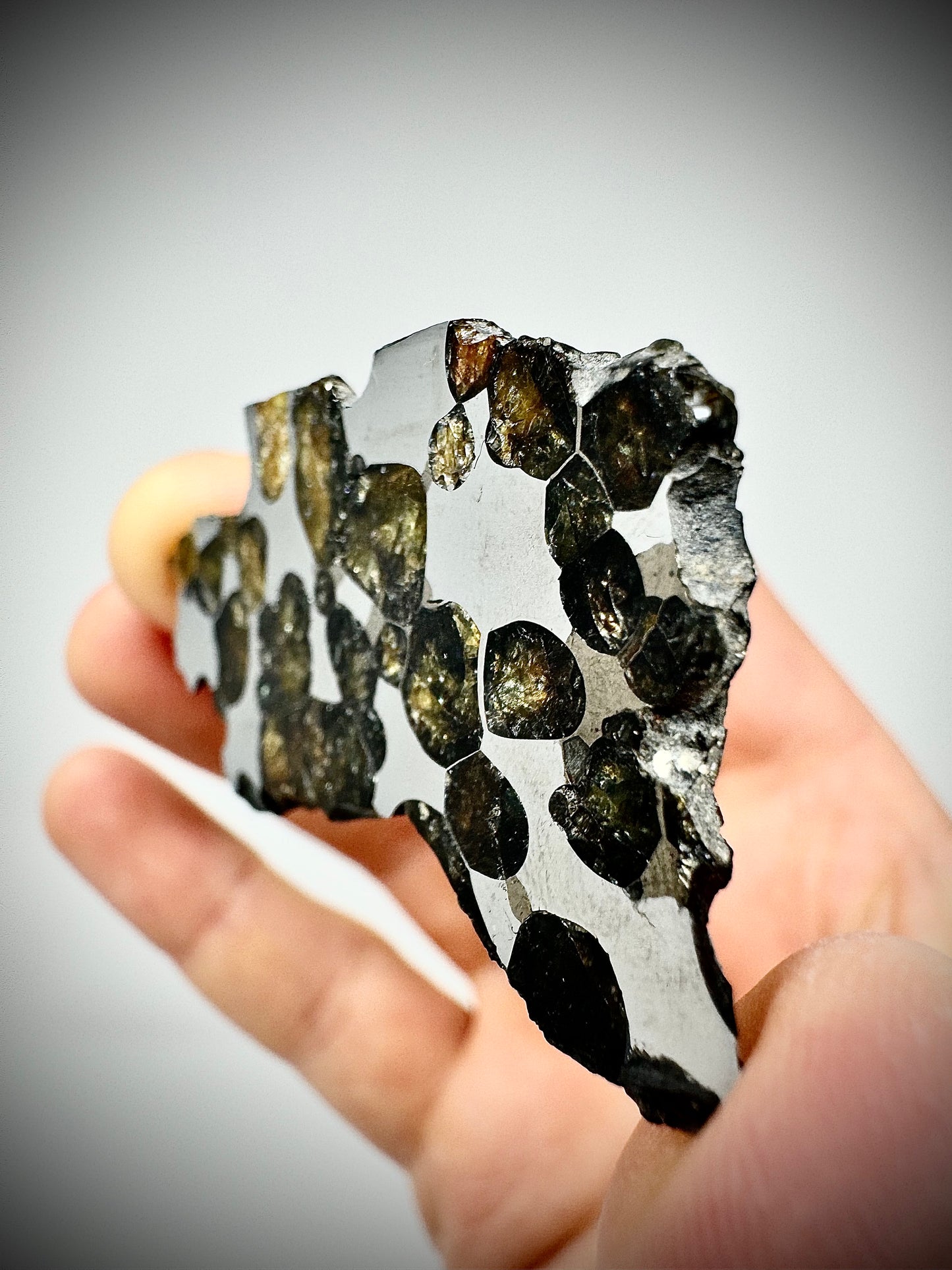 Springwater Pallasite - 13g Full Slice - Exquisite Translucency and Polish