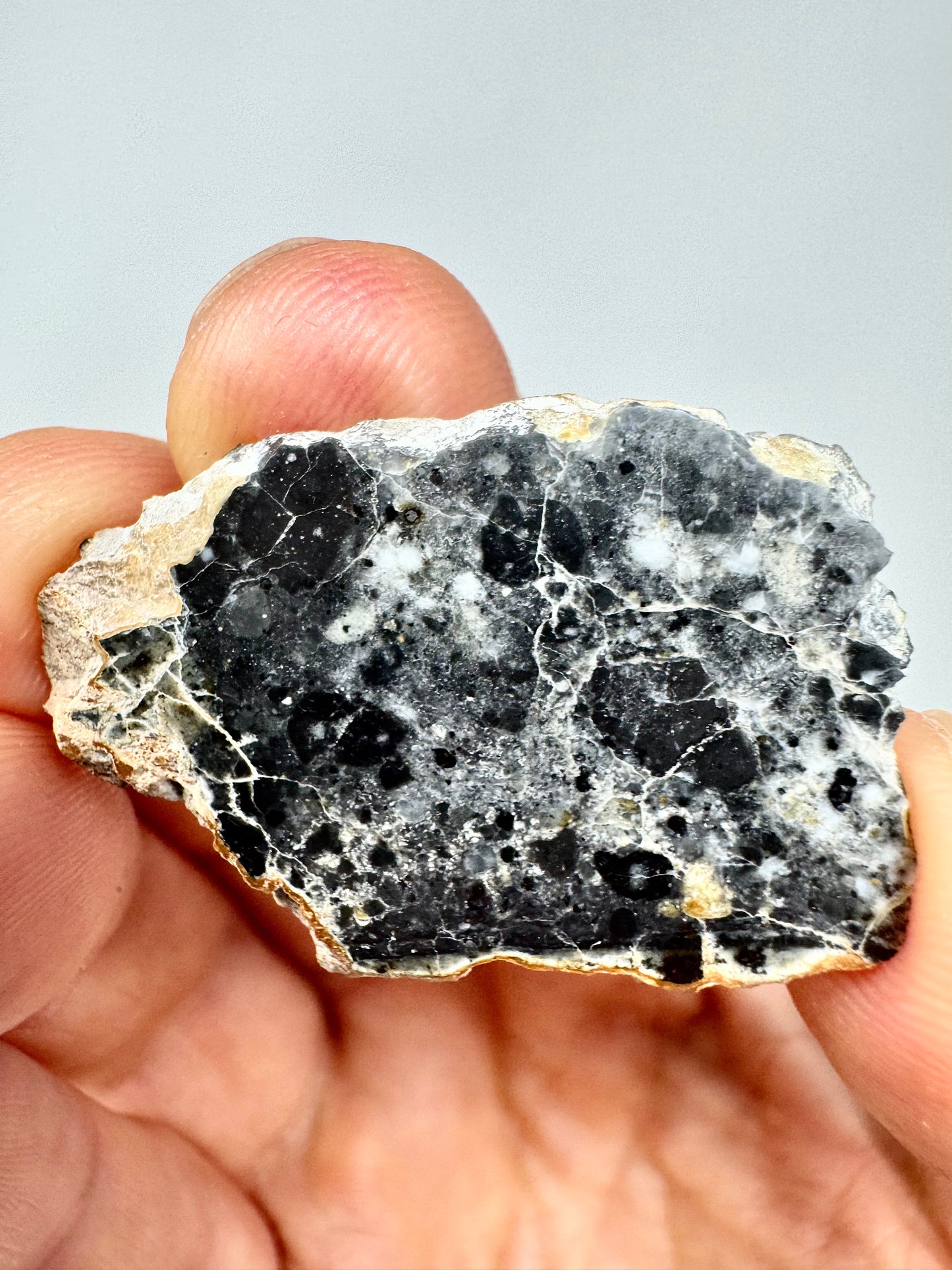 Stunning 3.8g Bechar 003 Lunar Feldspathic Breccia with metal inclusion from impact in space! Polished