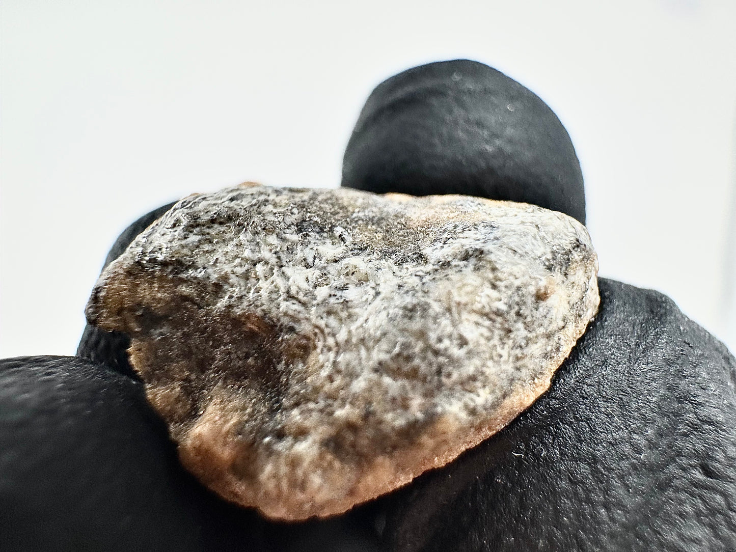 Ksar Ghilane 022 Ungrouped Achondrite - 2.6g FULL STONE W/ FROTHY/DARK CRUST - Possible Planetary Origin!