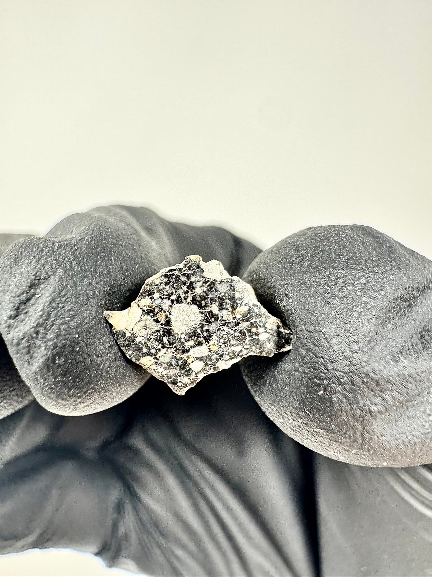 Stunning NWA 14685 Lunar Meteorite - Polished! 0.3g