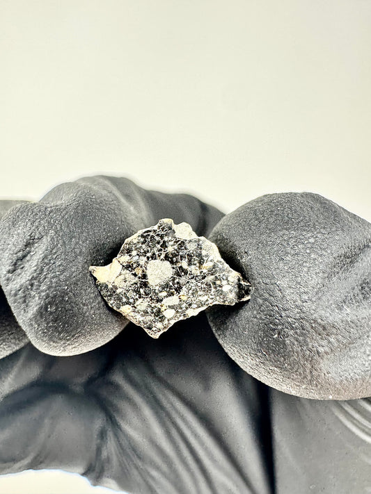 Stunning NWA 14685 Lunar Meteorite - Polished! 0.3g