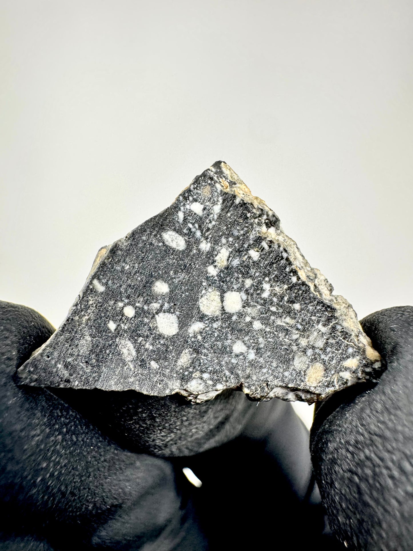 Stunning NWA 14685 Lunar Meteorite - 1.6g - Polished!
