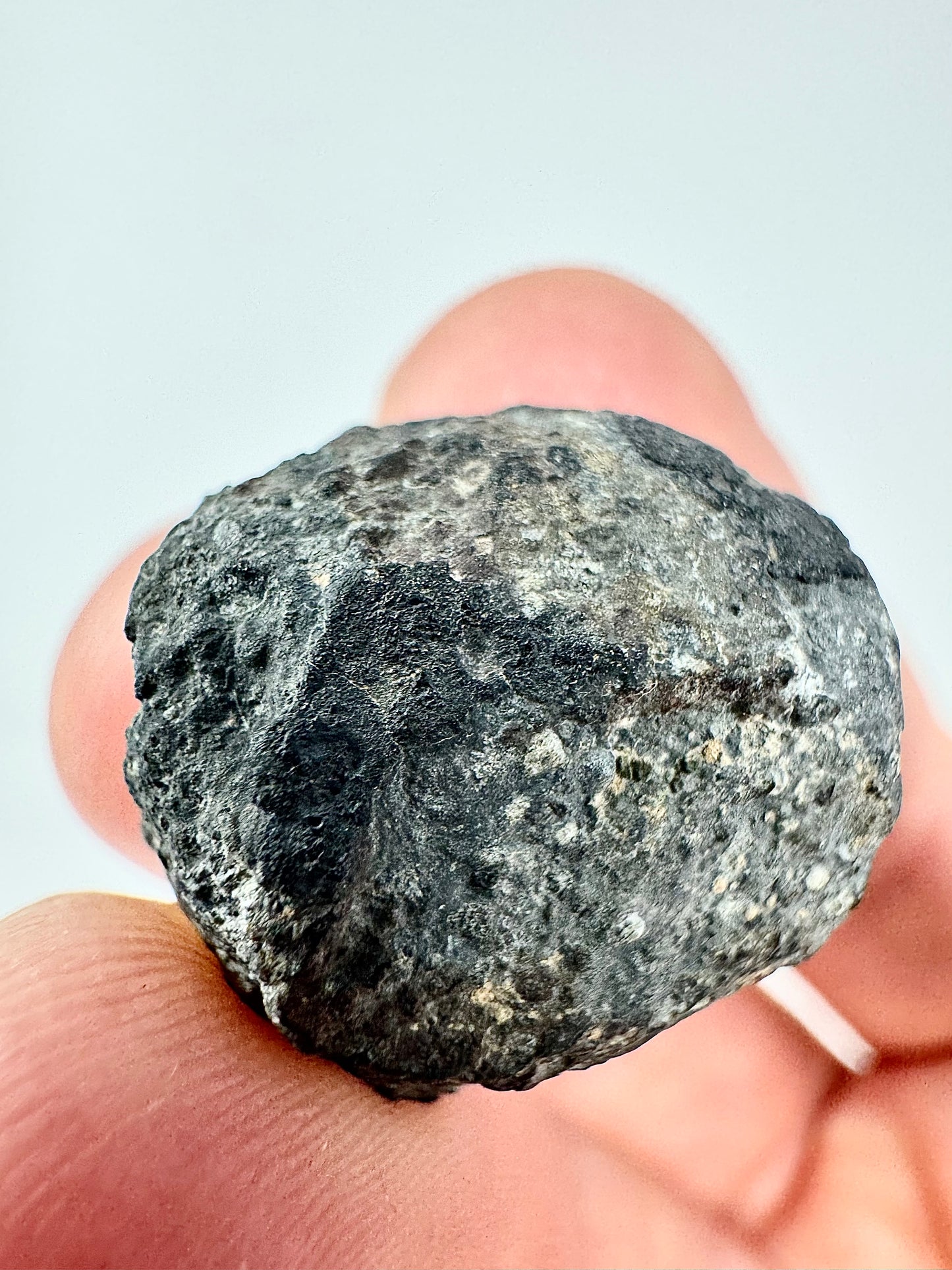 Allende Meteorite Individual with Crust! 8.8g - From A Carbonaceous Asteroid!