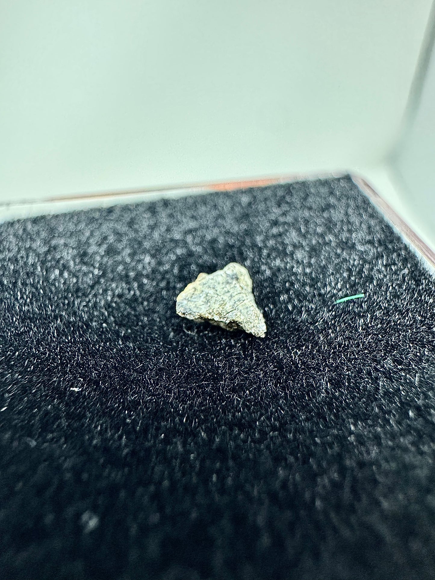 Genuine Martian Meteorite NWA 13187 - Scientifically Studied Rock From Planet Mars