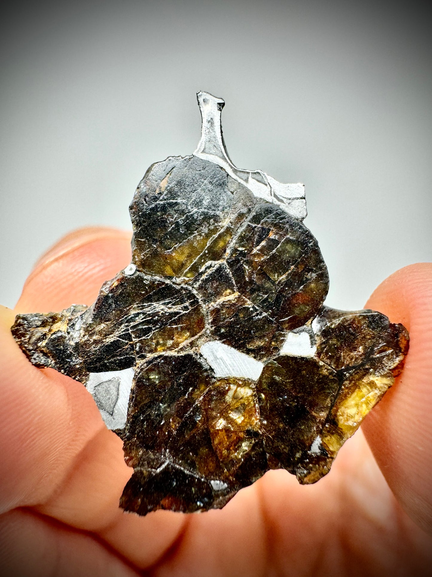Brahin Pallasite Meteorite - 4.3g - From The Mantle/Core Of An Asteroid - Semi Translucent