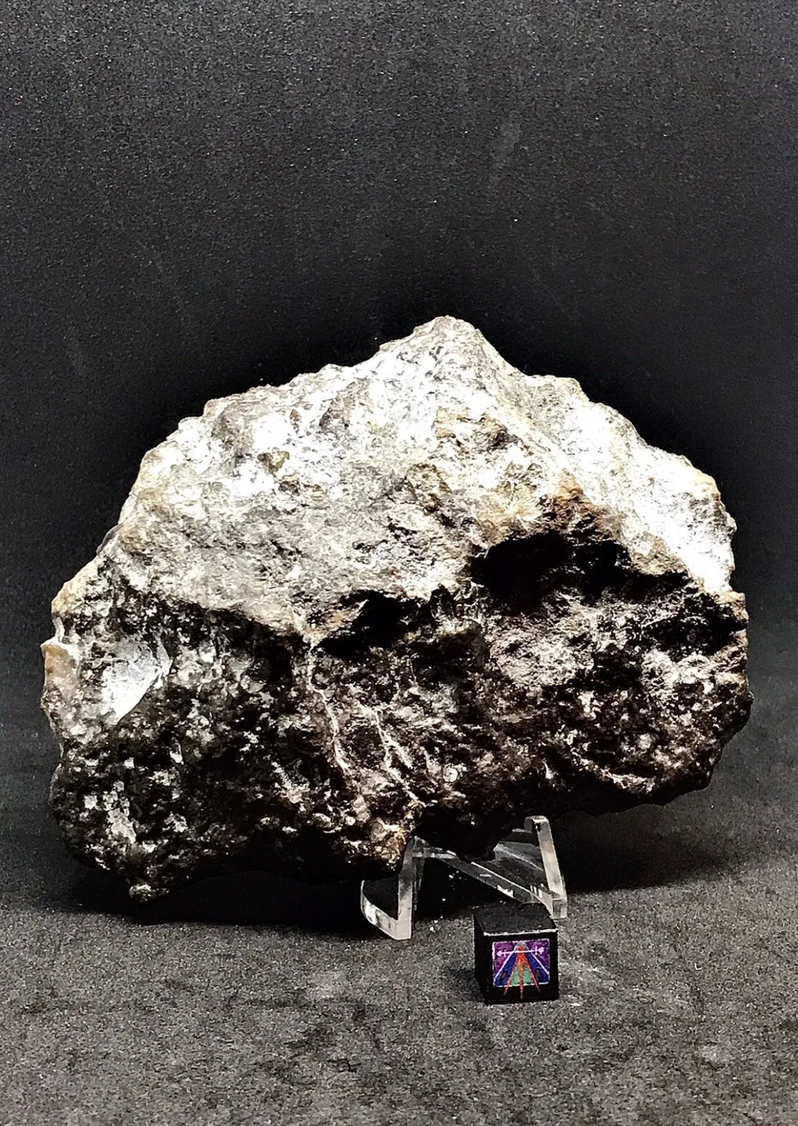 363.4g NWA 14518 Mesosiderite End Cut Meteorite - Huge Pyroxene Crystals!