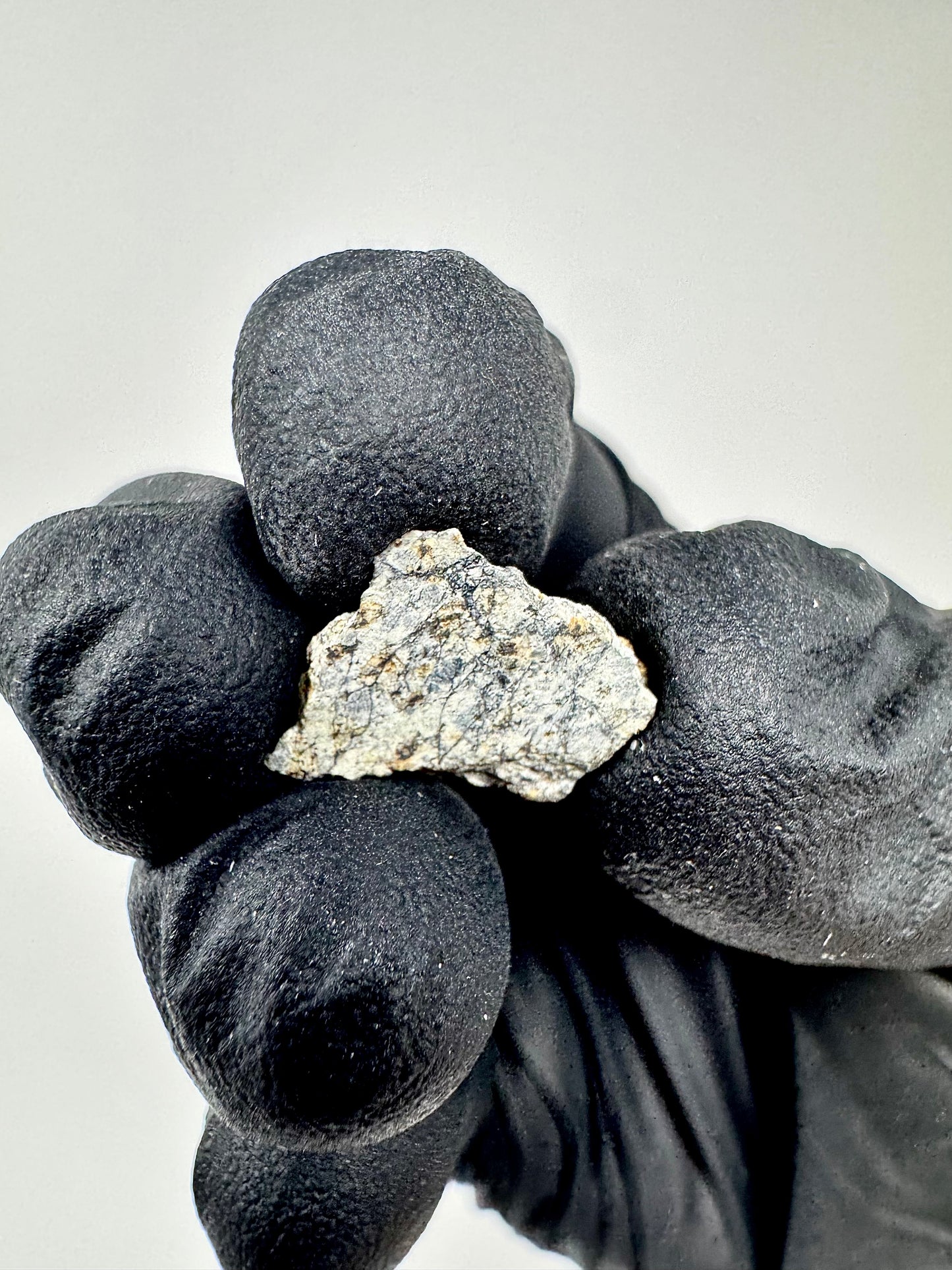 1.2g Chelyabinsk Brecciated Meteorite - Jet Black Crust - Incredibly Fresh and Discovered Immediately After the Fall!