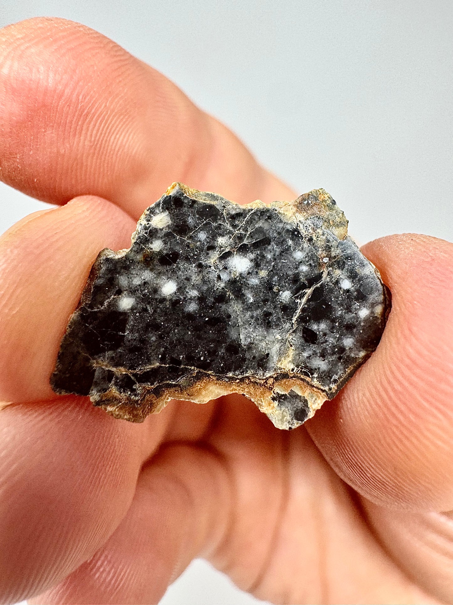 Stunning Bechar 003 Lunar Feldspathic Breccia - 2.0g - A Piece Of Our Moon!