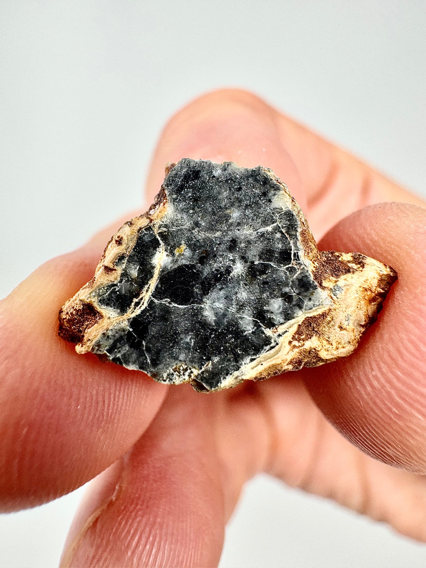 Stunning Bechar 003 Lunar Feldspathic Breccia - 1.2g - A Piece Of Our Moon!