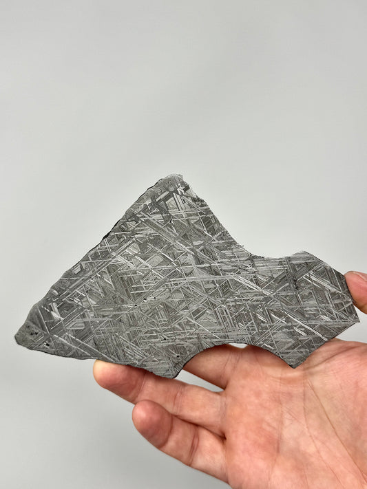 “The Infinity Iron” NWA 17092 - 160.6g Full Slice - From The Core Of An Asteroid