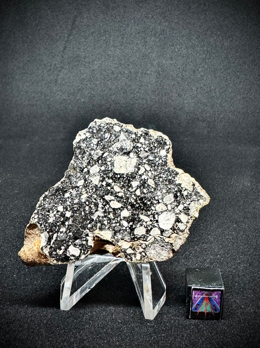 NWA 14685 Lunar Fragmental Breccia End Cut - Polished - 24.7g