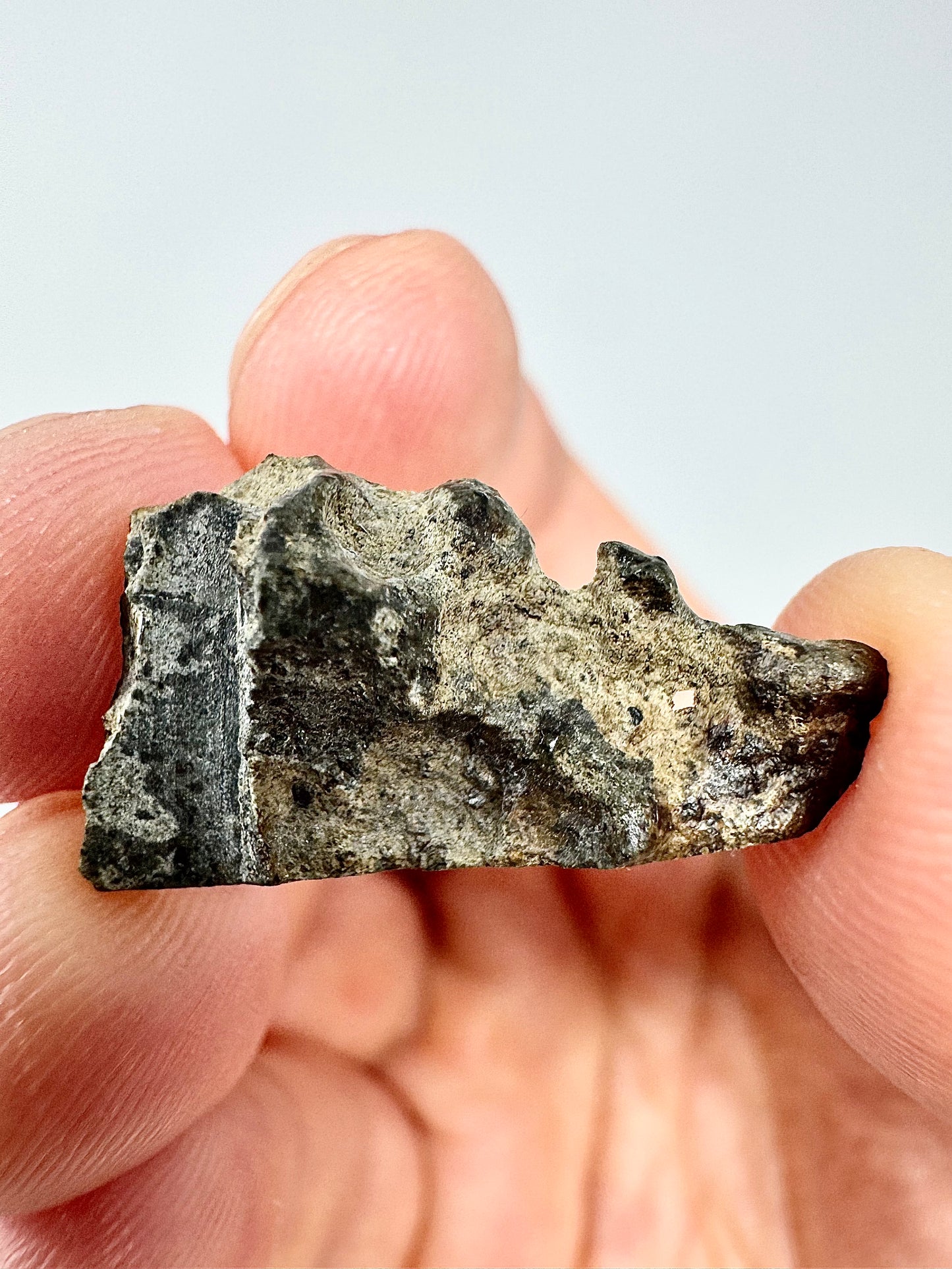 1.6g Genuine Martian Meteorite Amgala 001 - END CUT- Scientifically Studied Rock From Planet Mars