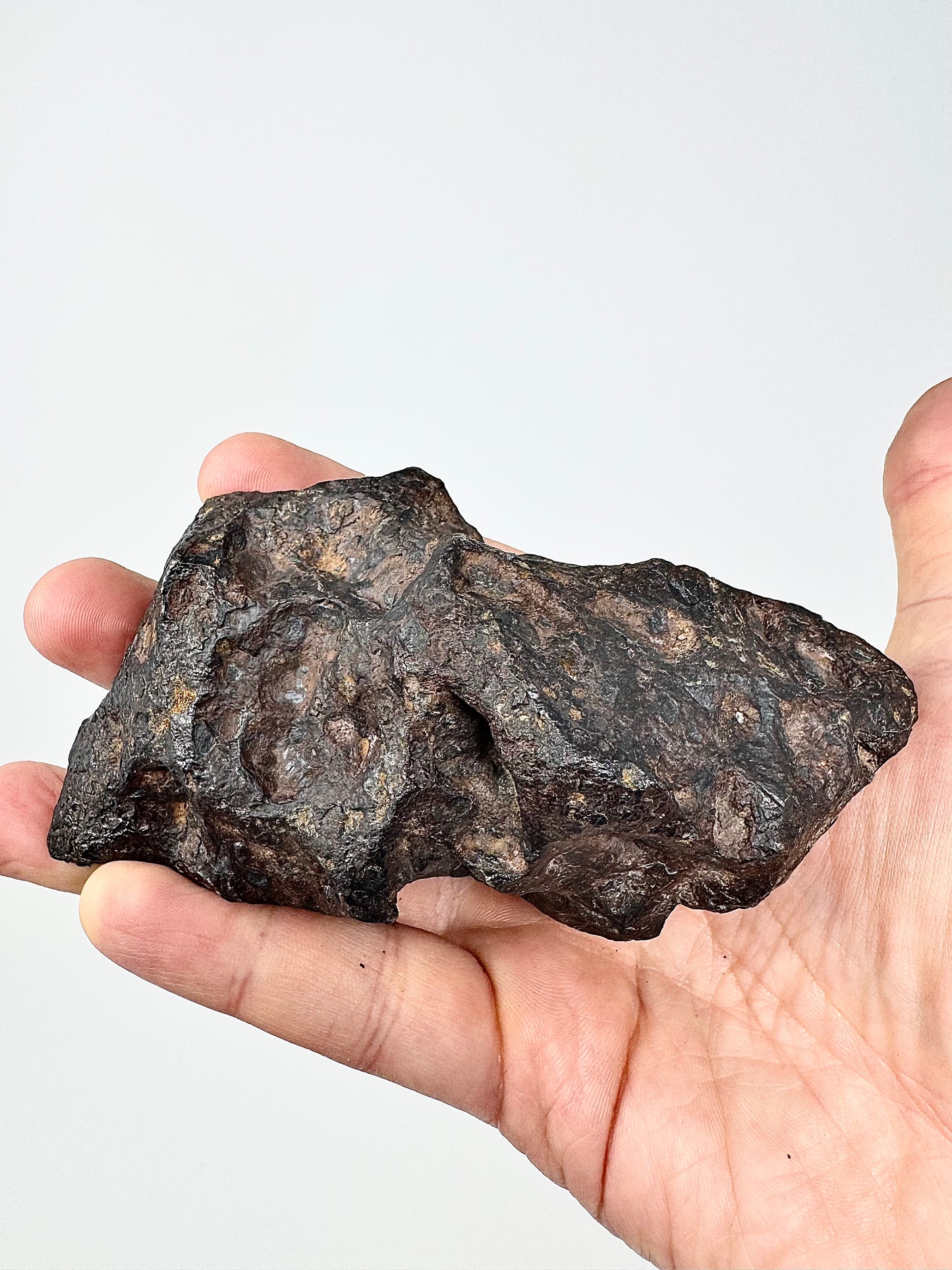 Campo Del Cielo Iron Meteorite - Beautiful Features - 895g