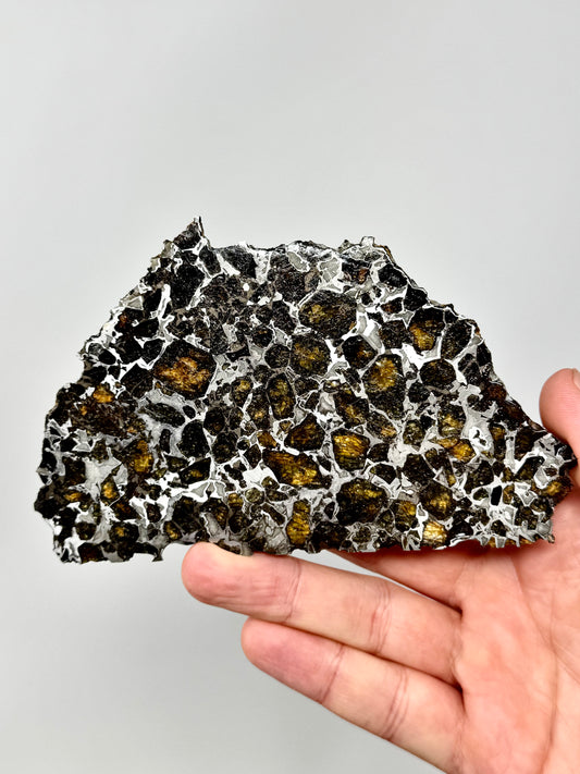 Brahin Pallasite Meteorite - 134.4g - From The Mantle/Core Of An Asteroid - Grade B Translucency