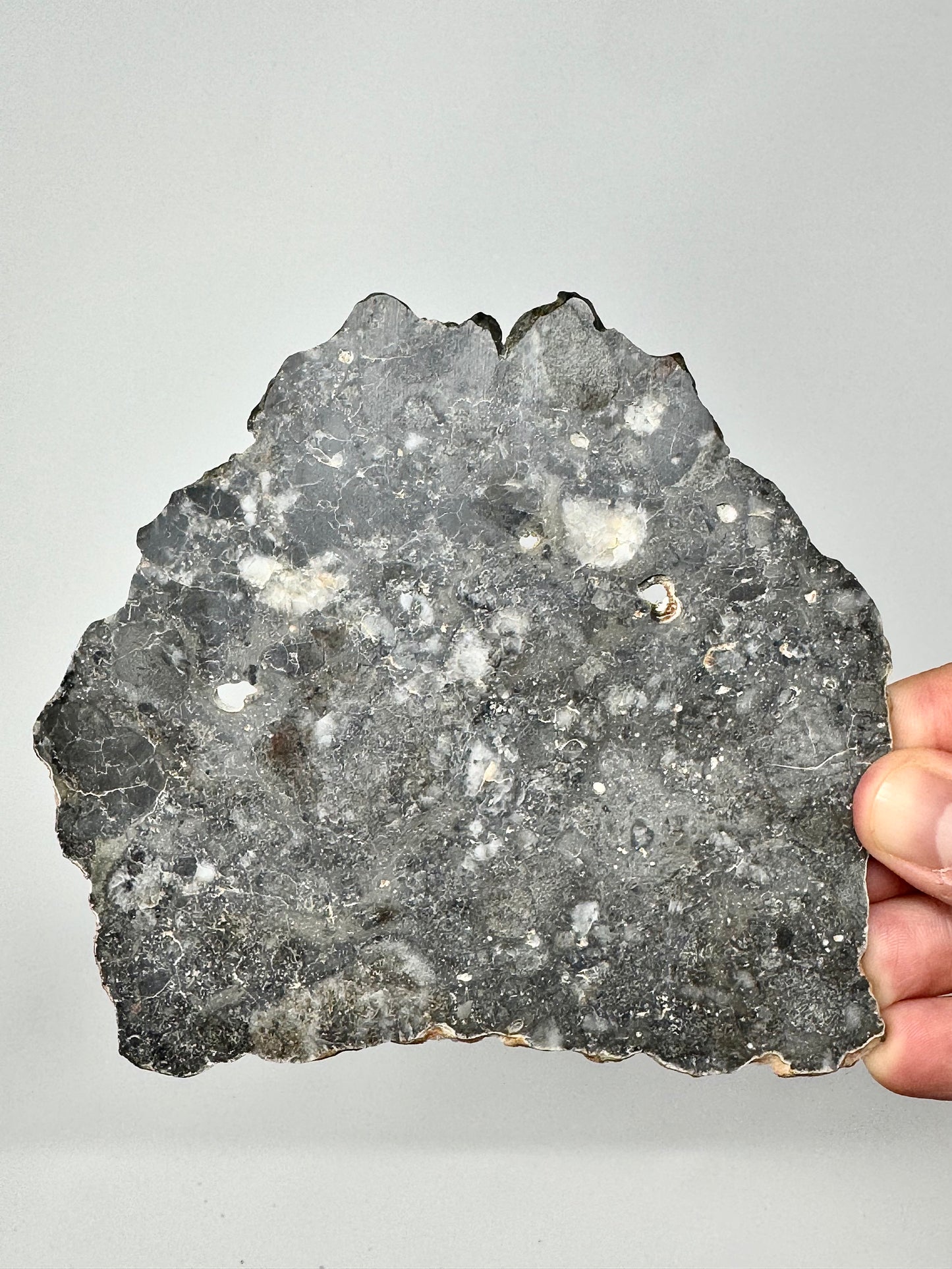 79.8g Lunar Troctolitic Melt - Full Slice - A Rare Lunar Meteorite