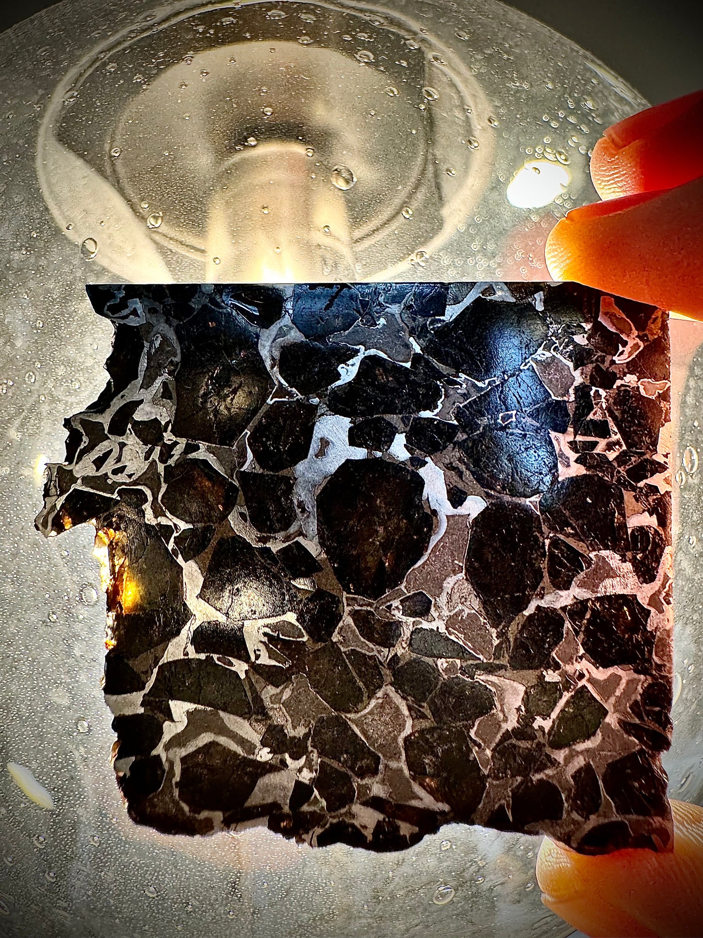 Brahin Pallasite Meteorite - 45.8g - From The Mantle/Core Of An Asteroid - Thick Cut - Very Little Translucency