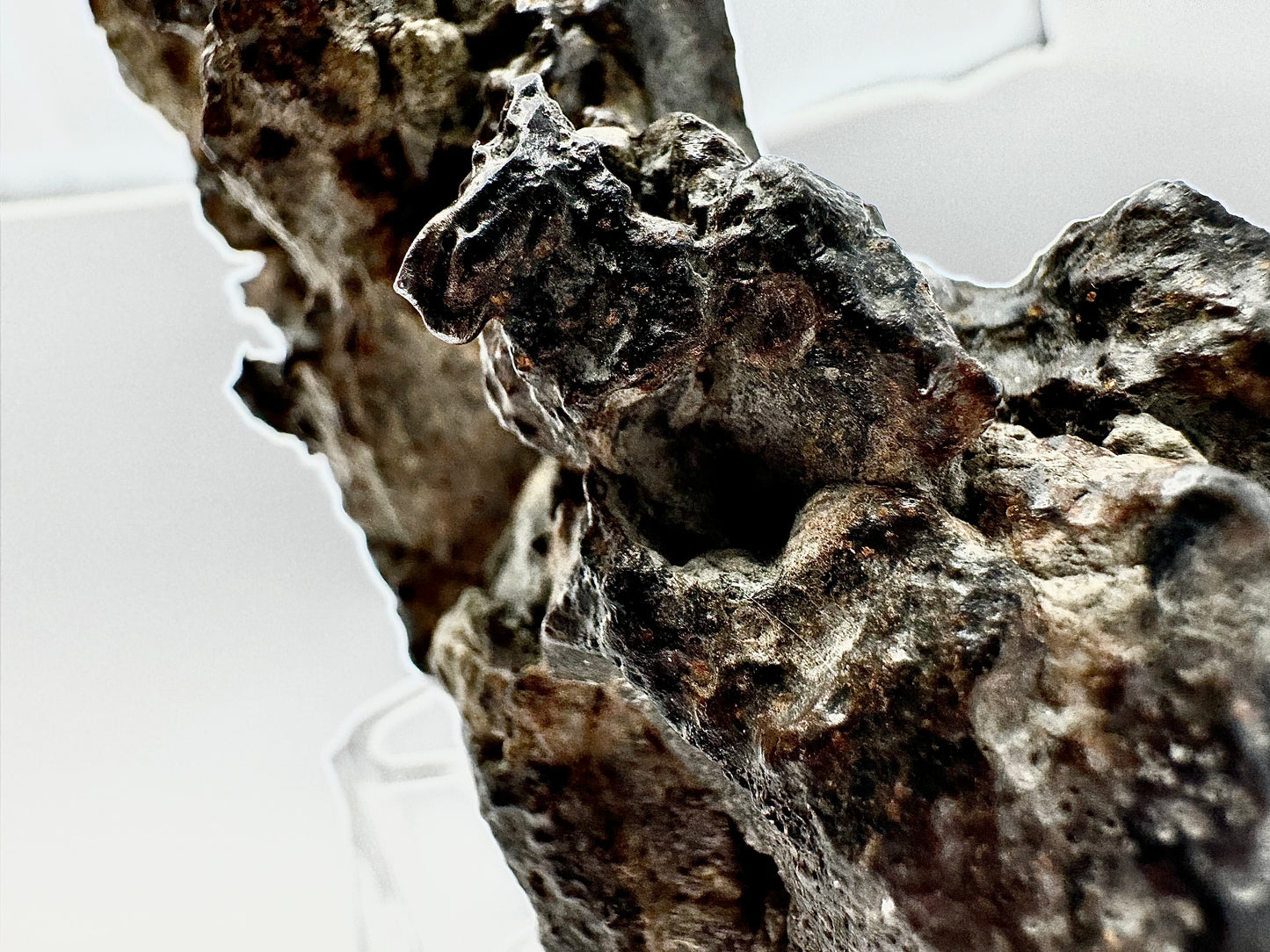 MAIN MASS! 462.7 El Milhas 005 Mesosiderite Meteorite End Cut - The Estherville Lookalike!