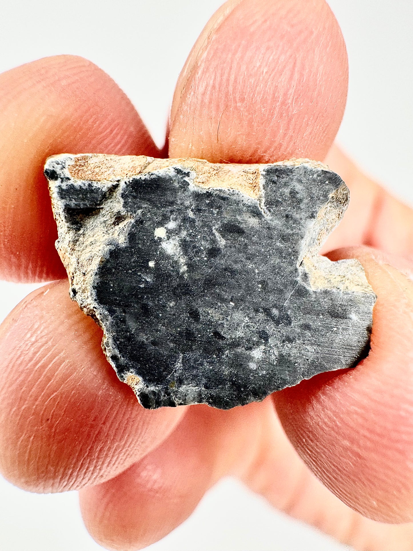 Stunning Bechar 003 Lunar Feldspathic Breccia - 1.1g - A Piece Of Our Moon!
